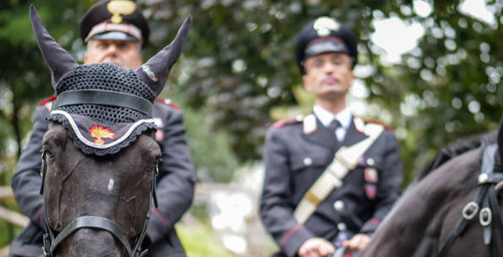 4° Reggimento a Cavallo. Fattori di rischio igienico-sanitari e ambientali